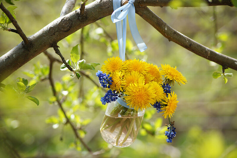 Dandelion Bouquet in Jar