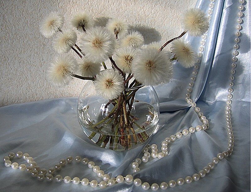 Dandelion Bouquet in Vase — White