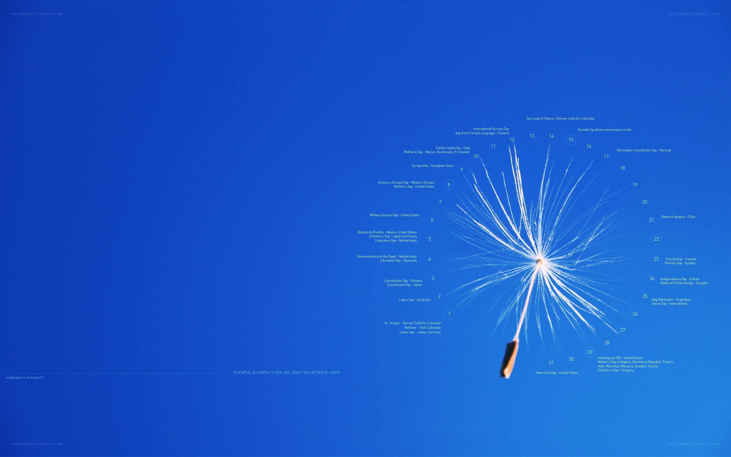 Dandelion calendar on blue