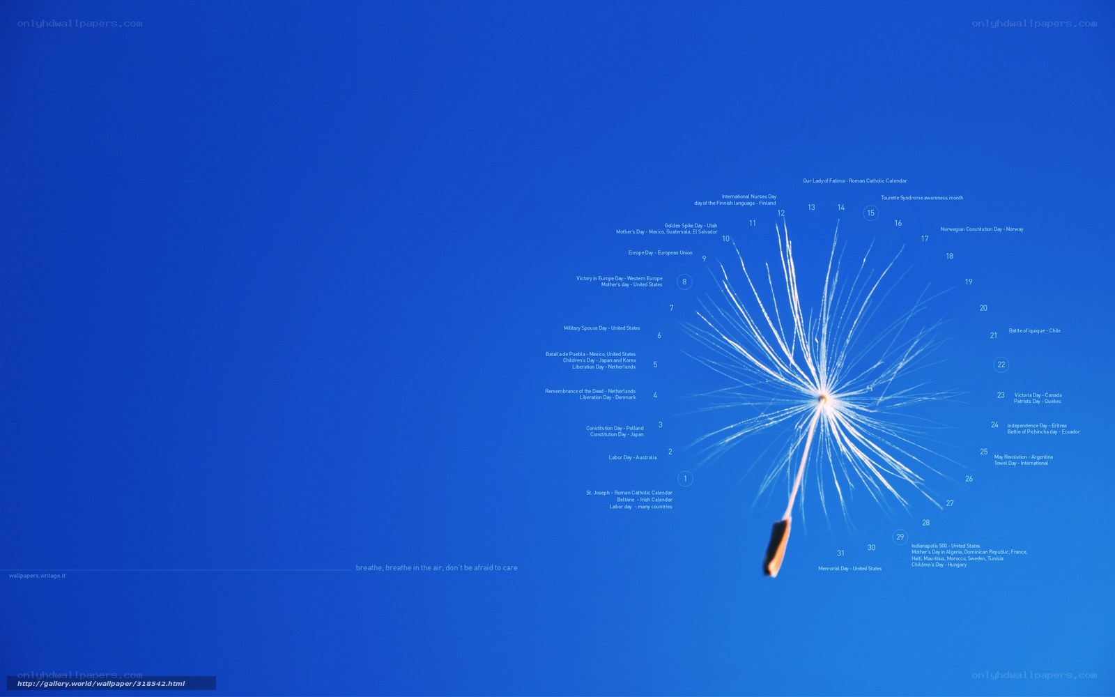 Dandelion clock with global holidays