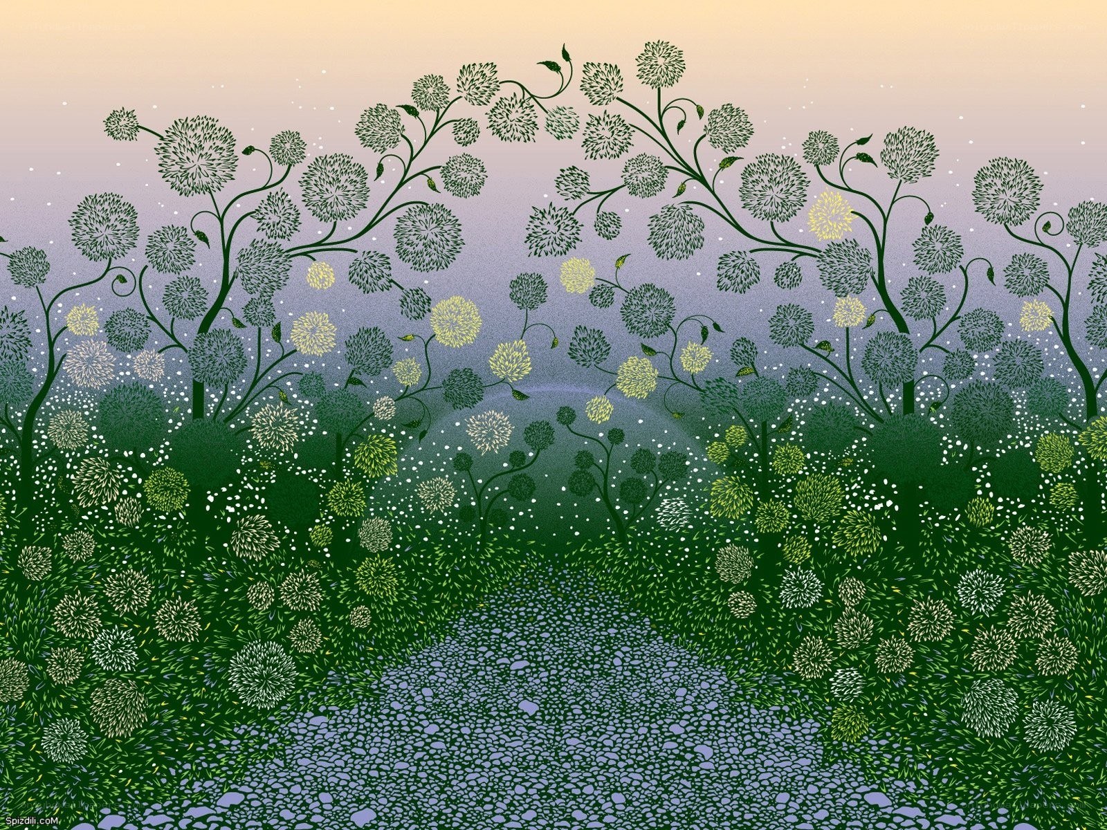 Dandelion field at dusk