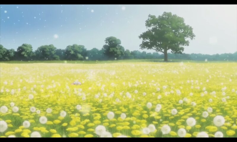 Dandelion Field — Yellow, Serene