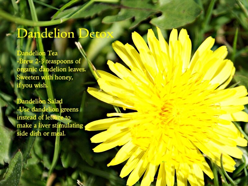 Dandelion Flower in Grass — Yellow