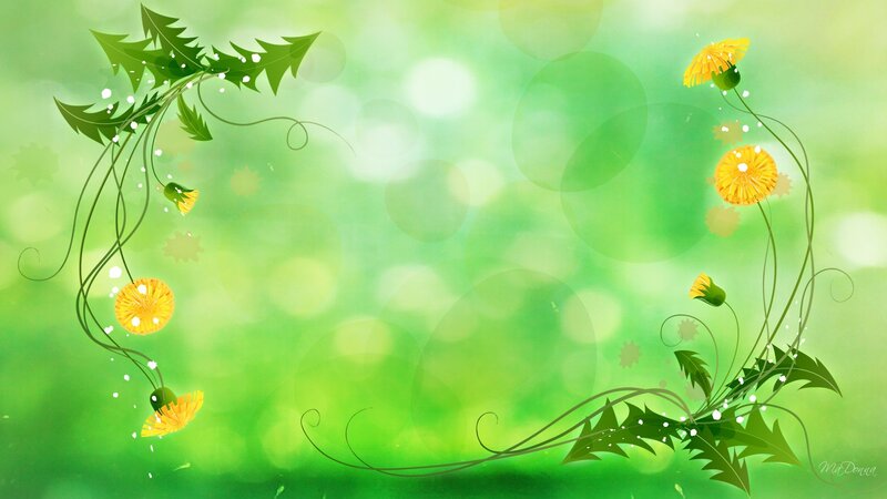 Dandelion Flowers and Leaves