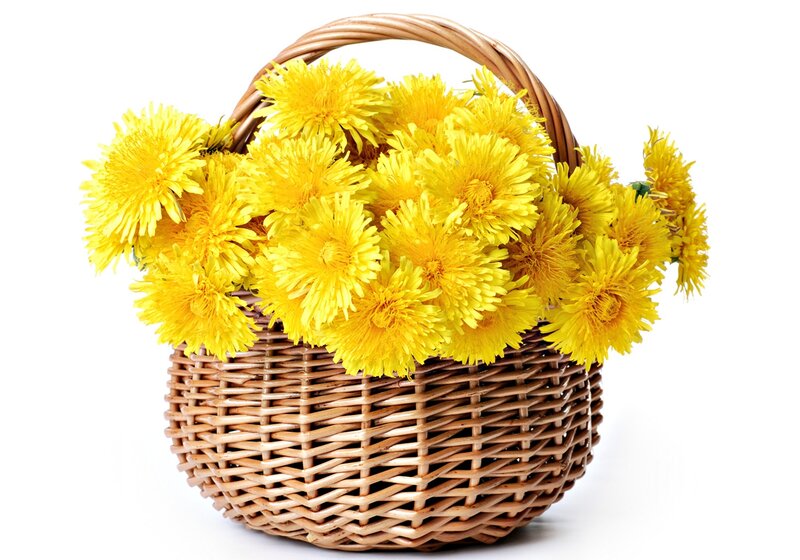 Dandelion Flowers in Basket