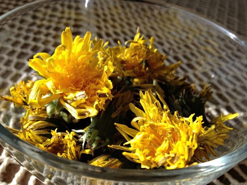Dandelion Flowers in Bowl