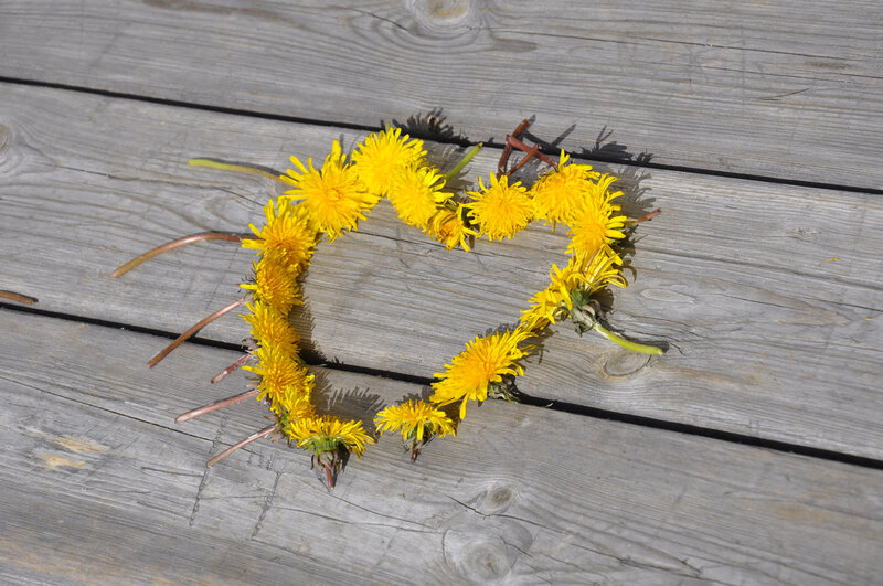 Dandelion Heart Shape