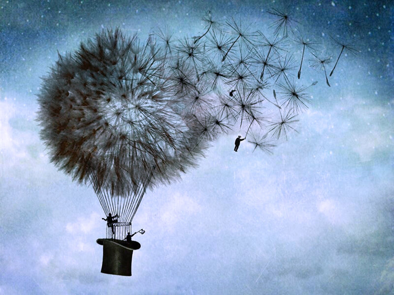 Dandelion Hot Air Balloon — Blue