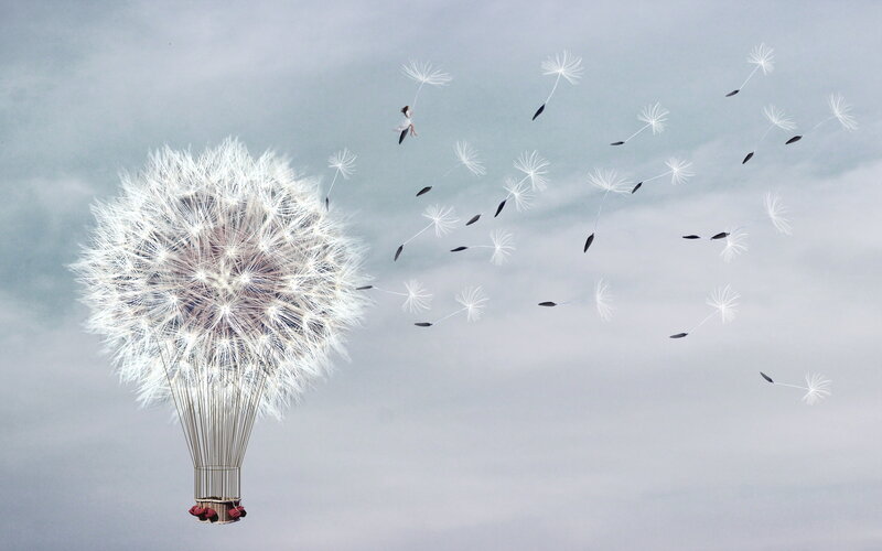 Dandelion Hot Air Balloon