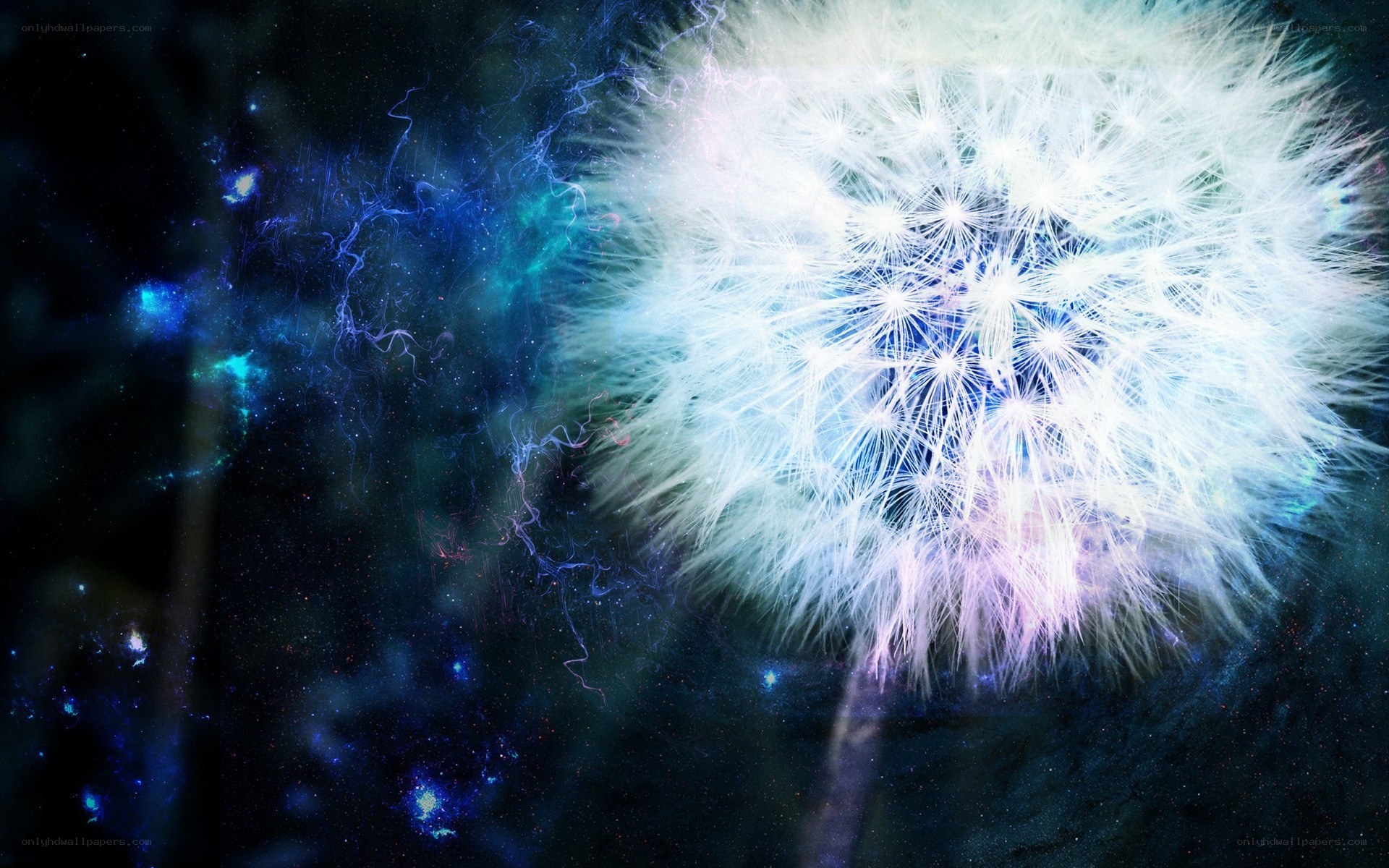 Dandelion in a cosmic nebula