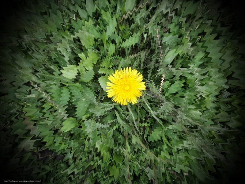 Dandelion in a green vortex