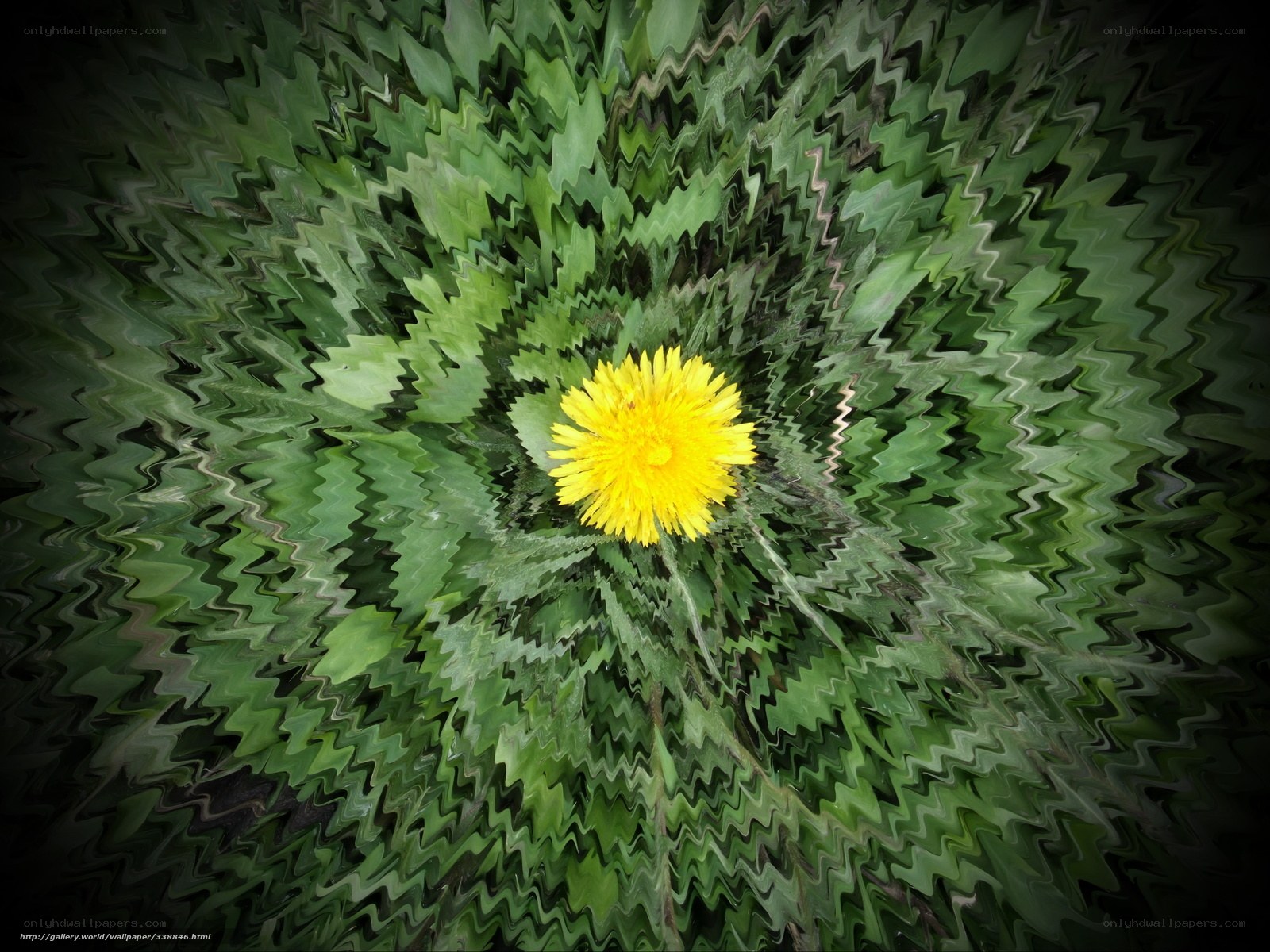 Dandelion in a green vortex