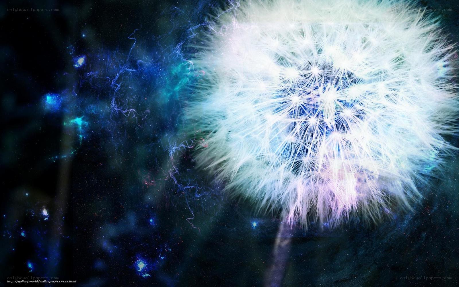 Dandelion in a starry sky