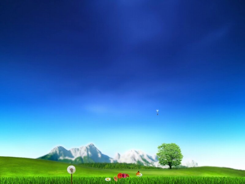Dandelion in Field — Green, Serene, Afternoon