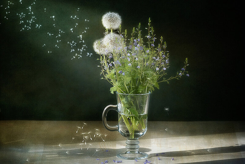 Dandelion in Glass Mug