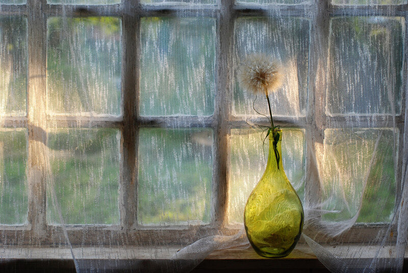 Dandelion in Green Vase