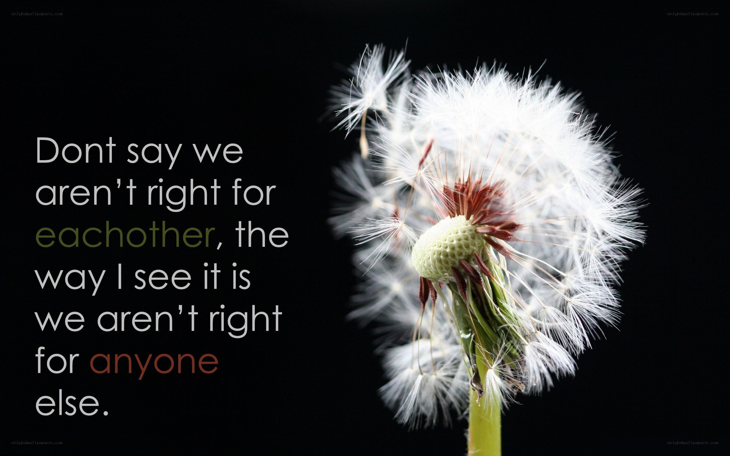 dandelion quote image