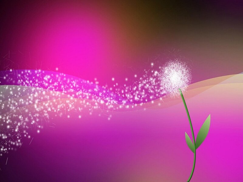 Dandelion Releasing Seeds
