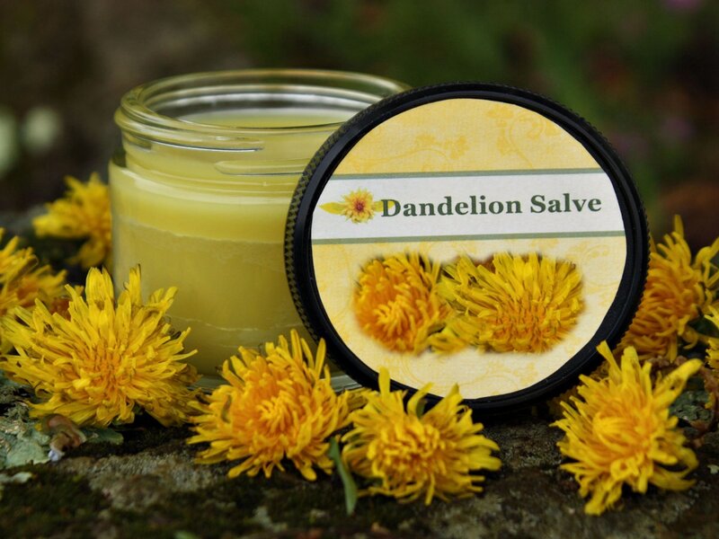 Dandelion Salve in Jar