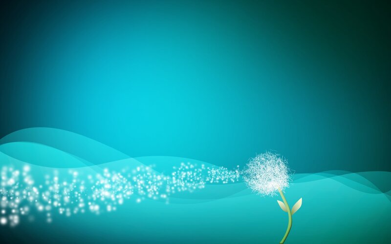 Dandelion Seed Dispersal