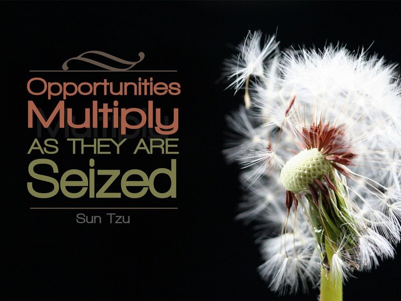 Dandelion Seed Head — Black, Inspirational
