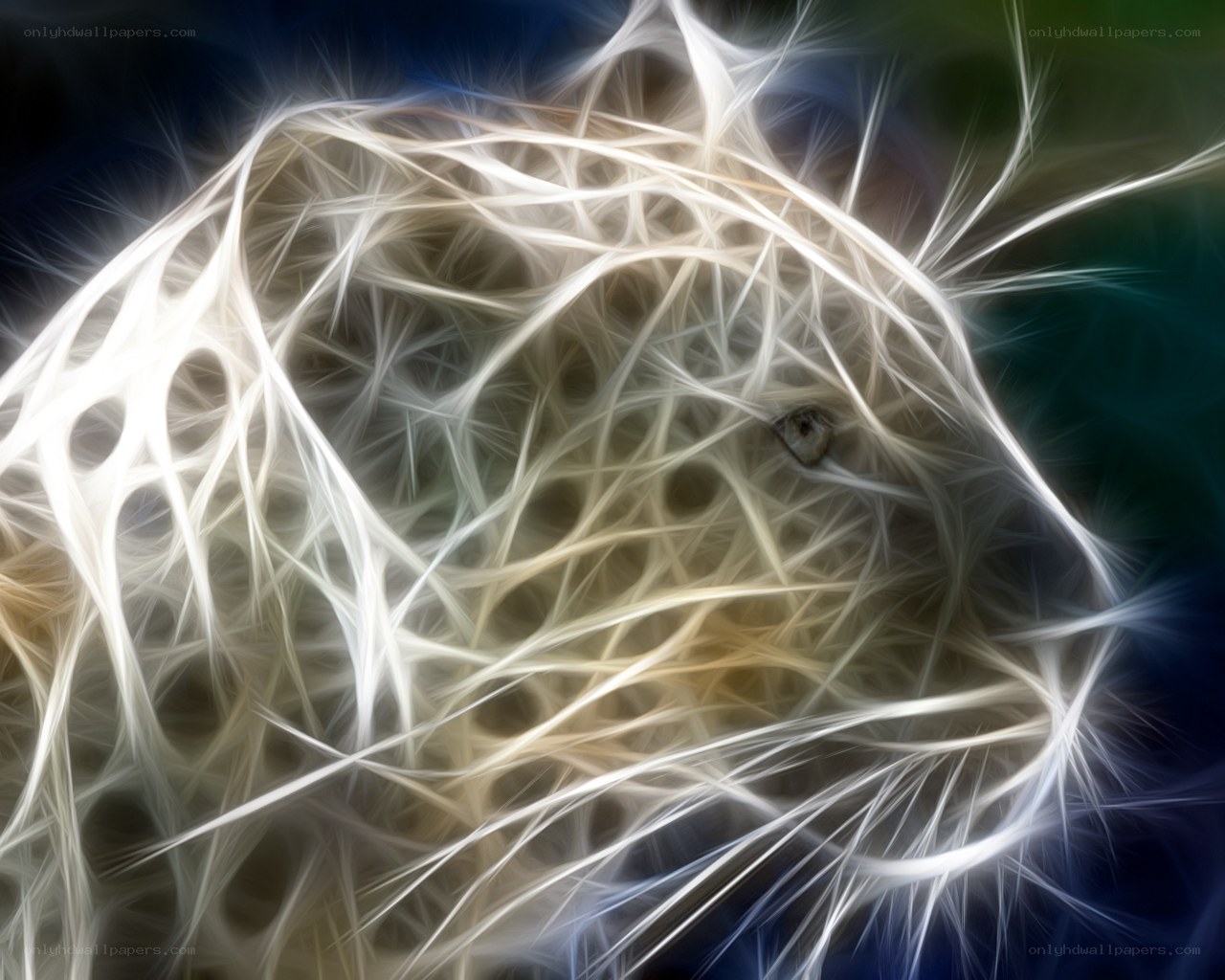 dandelion seed head close-up