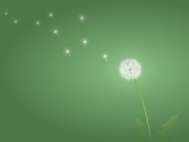 Dandelion Seed Head — Green, Serene, Digital Art