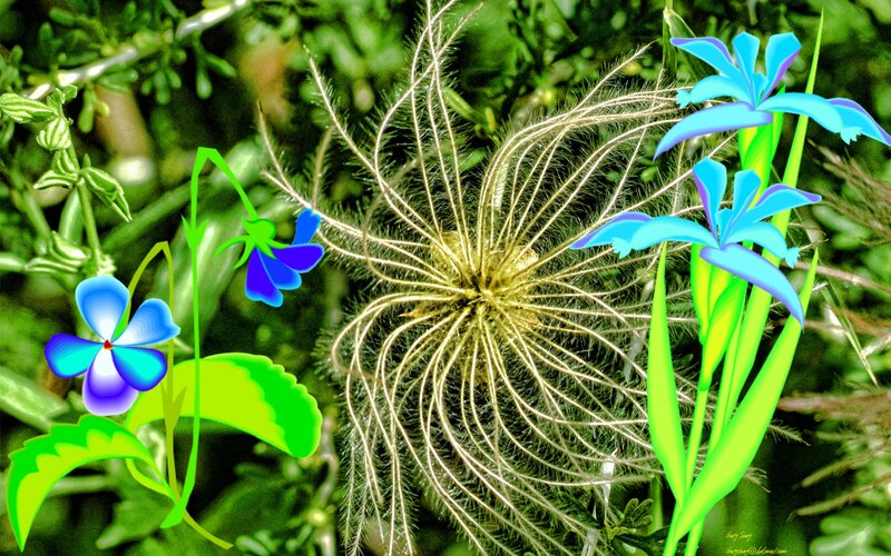 Dandelion Seed Head — Green, Vibrant