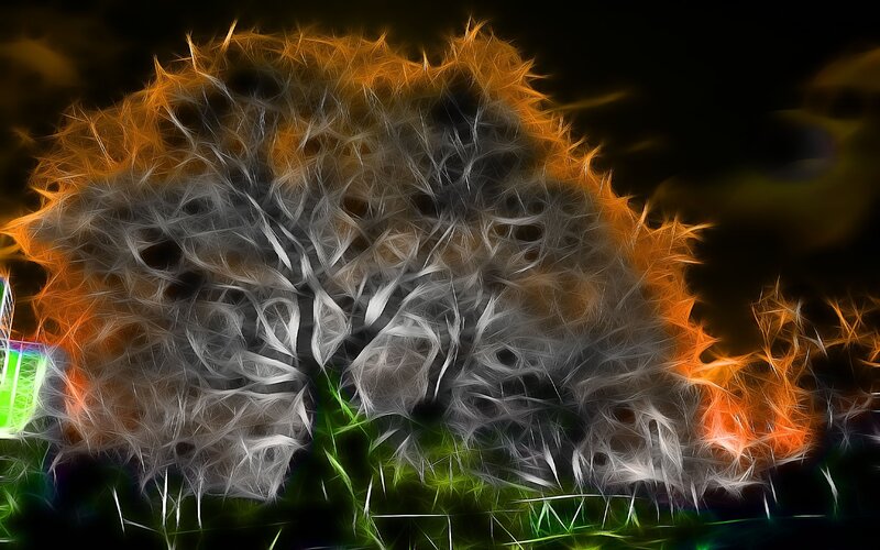 Dandelion Seed Head — Orange