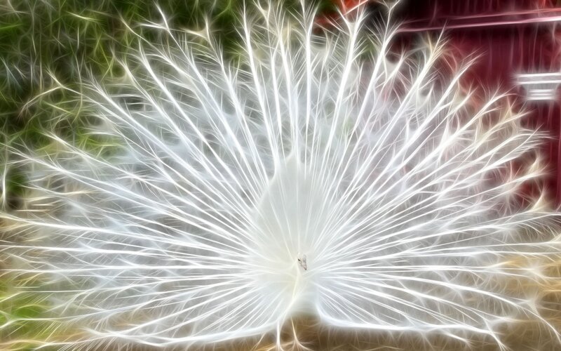 Dandelion Seed Head — White, Ethereal, Digital Art, Green Leaves, Red Structure