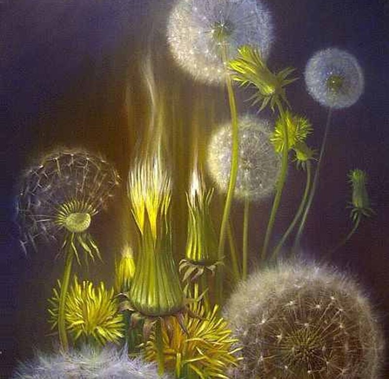 Dandelion Seed Heads — Yellow, Dreamy