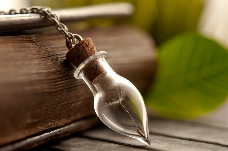 Dandelion Seed in Bottle