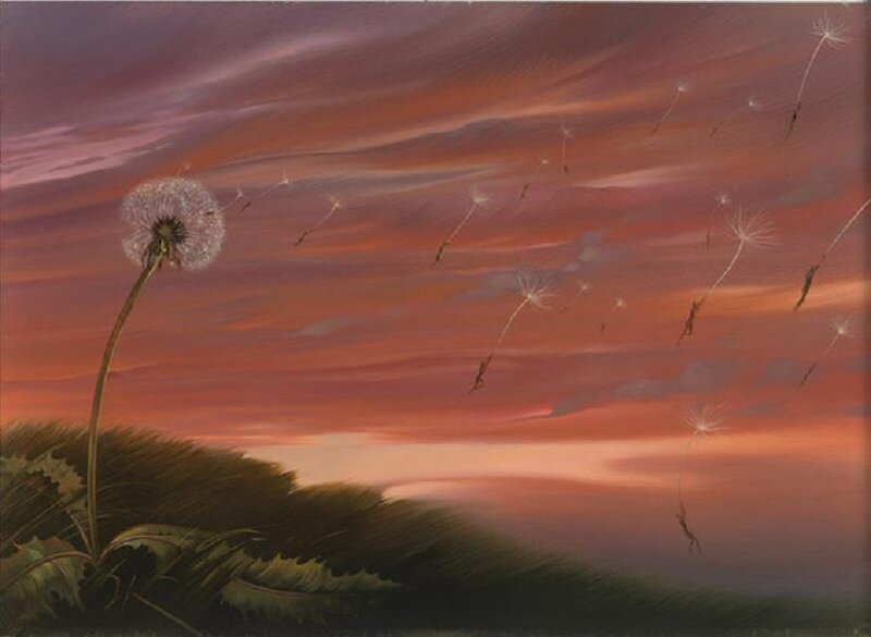 Dandelion seeds at sunset