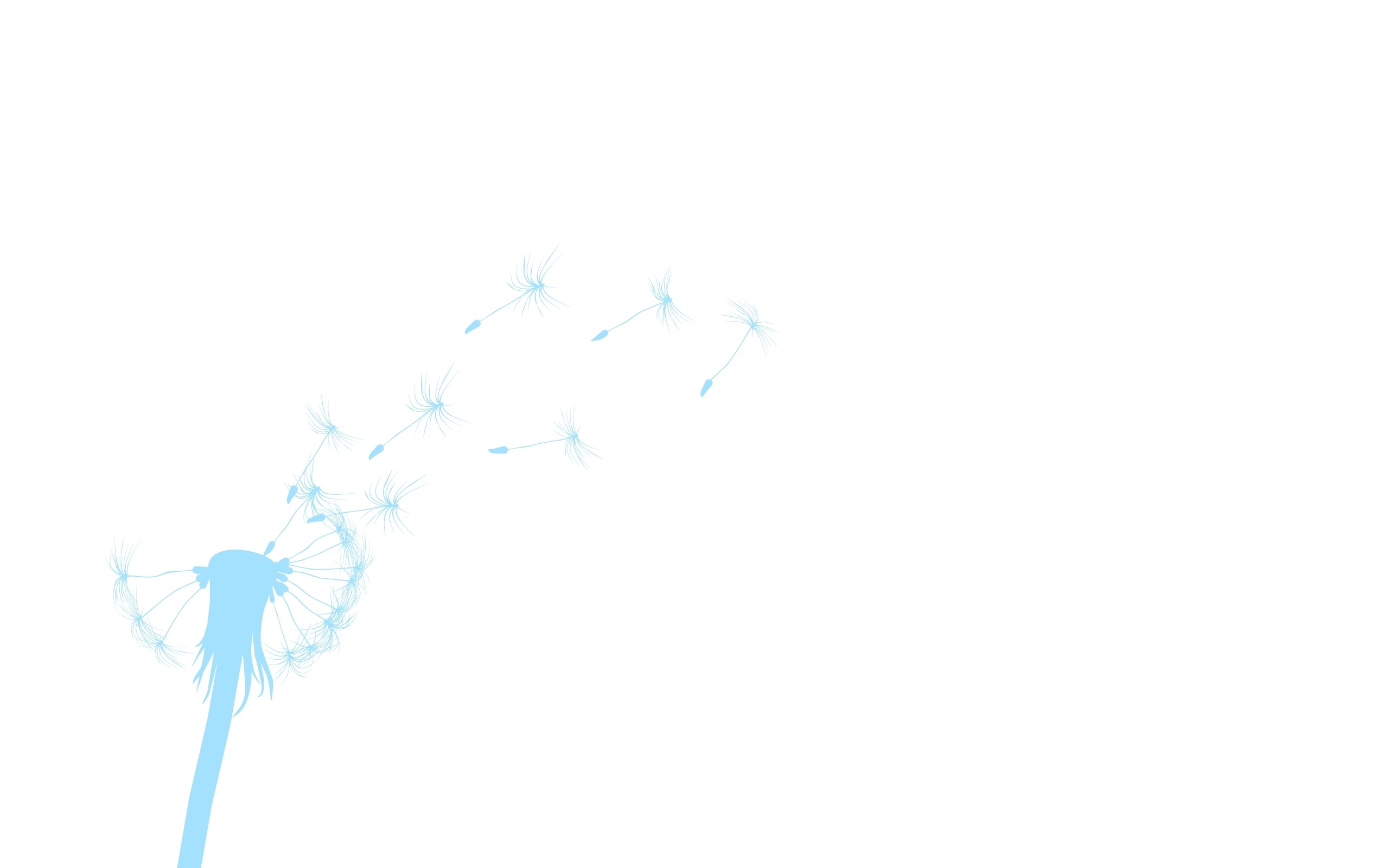 dandelion seeds blowing in wind
