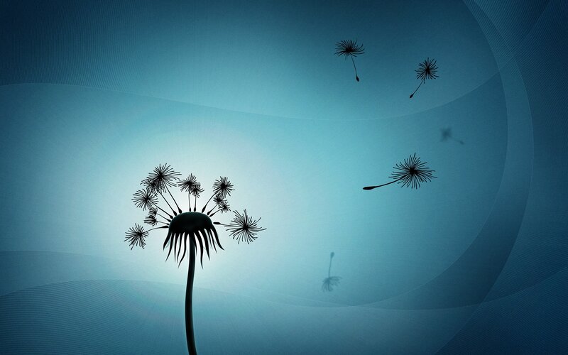Dandelion Seeds Floating — Blue, Serene