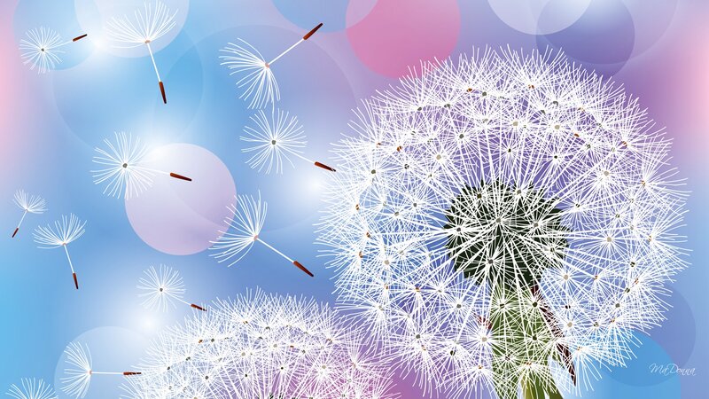 Dandelion Seeds Floating — Blue