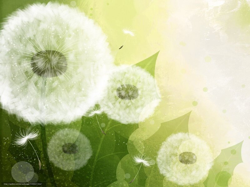Dandelion Seeds Floating — Green, Serene, Spring