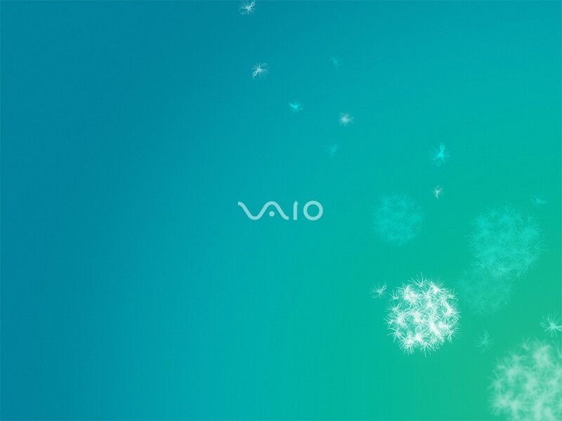 Dandelion Seeds Floating — Teal, Serene