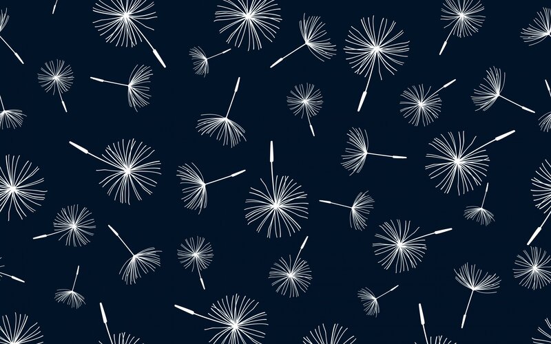 Dandelion Seeds Floating — White