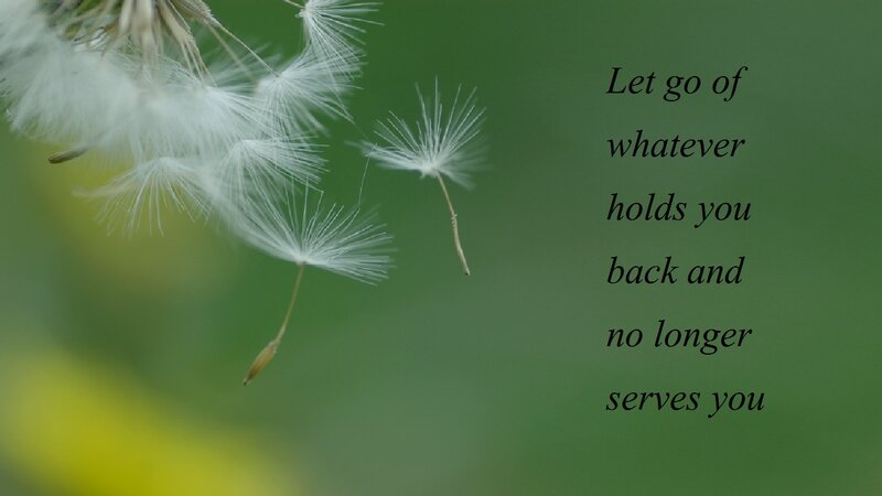 Dandelion Seeds — Green, Serene