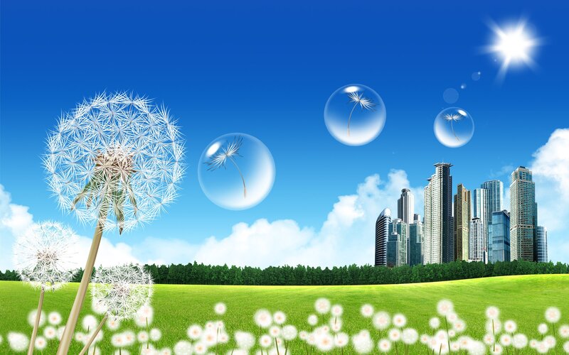 Dandelion Seeds in Field — Blue, Serene