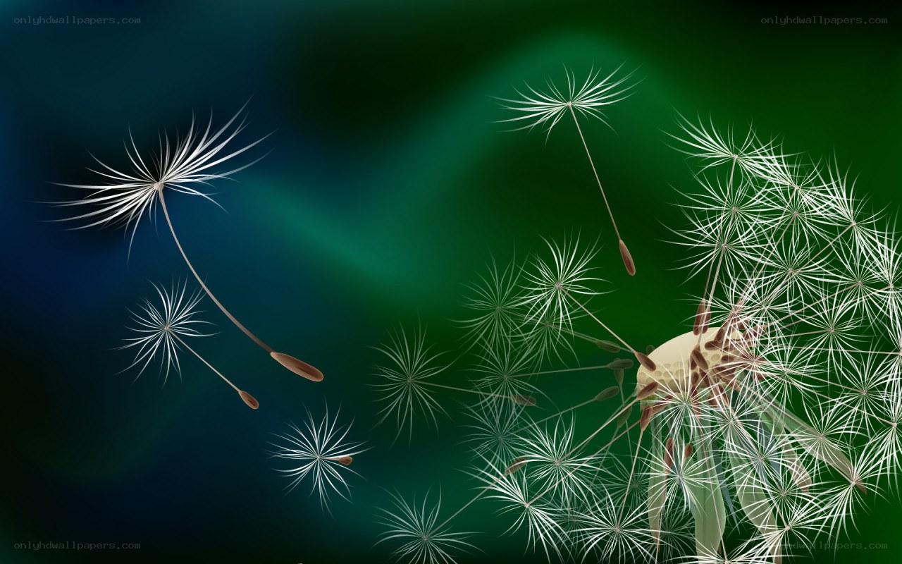 Dandelion seeds in flight