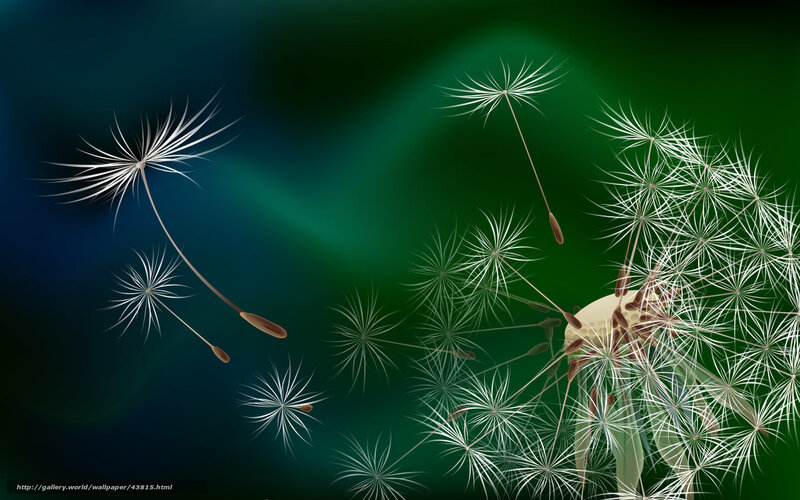 Dandelion seeds in flight