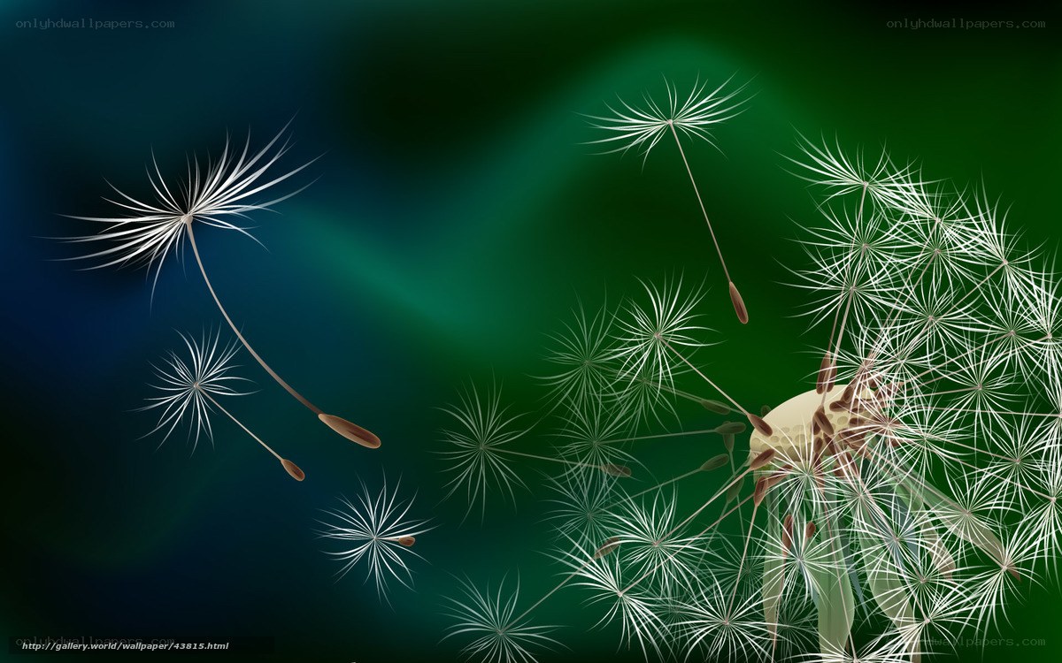 Dandelion seeds in flight