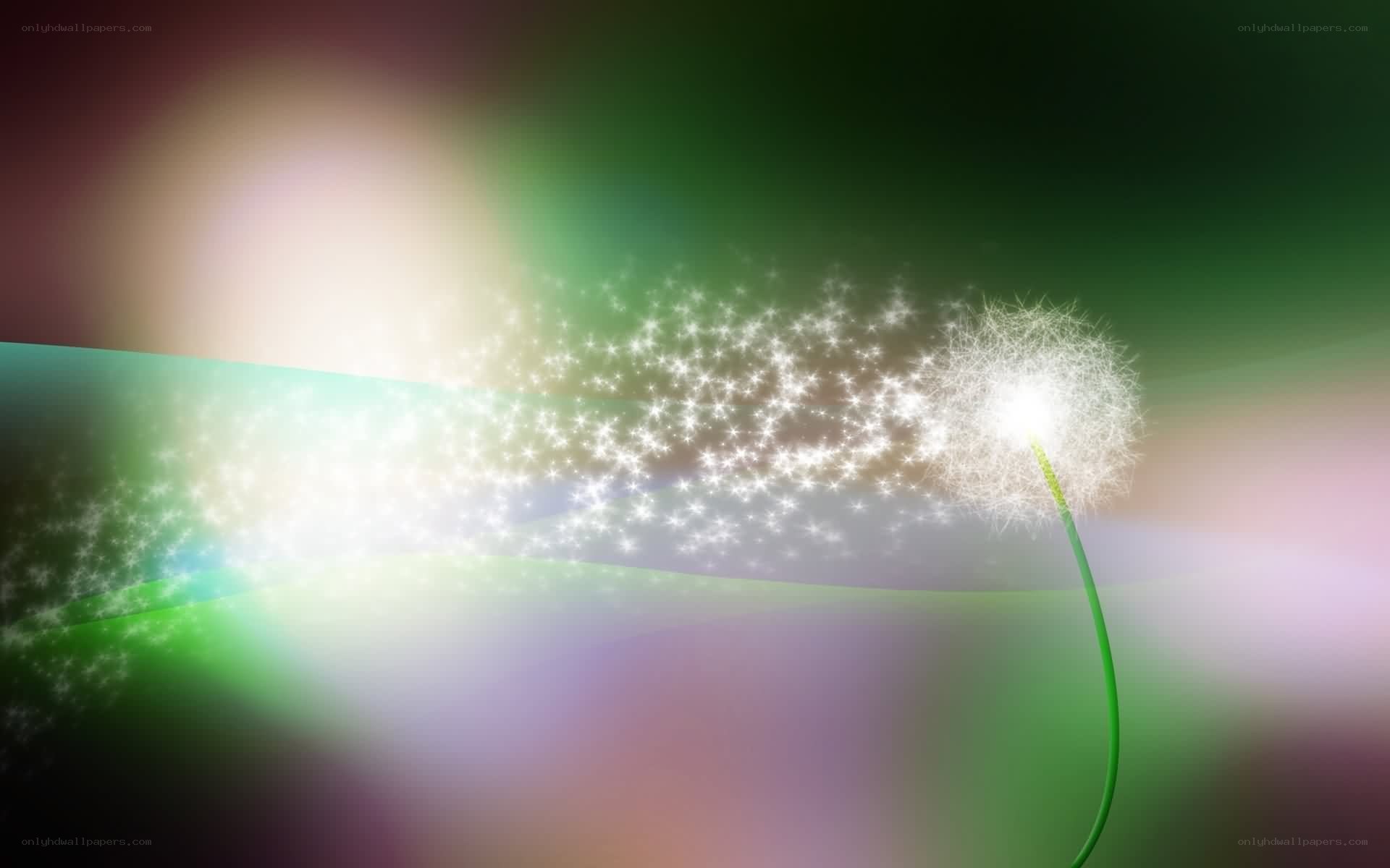 dandelion seeds in motion