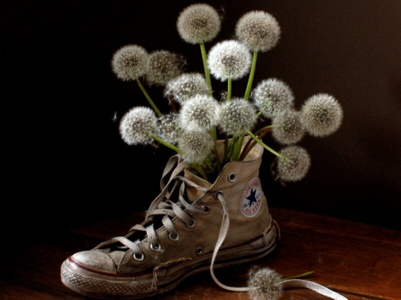 Dandelion Seeds in Shoe
