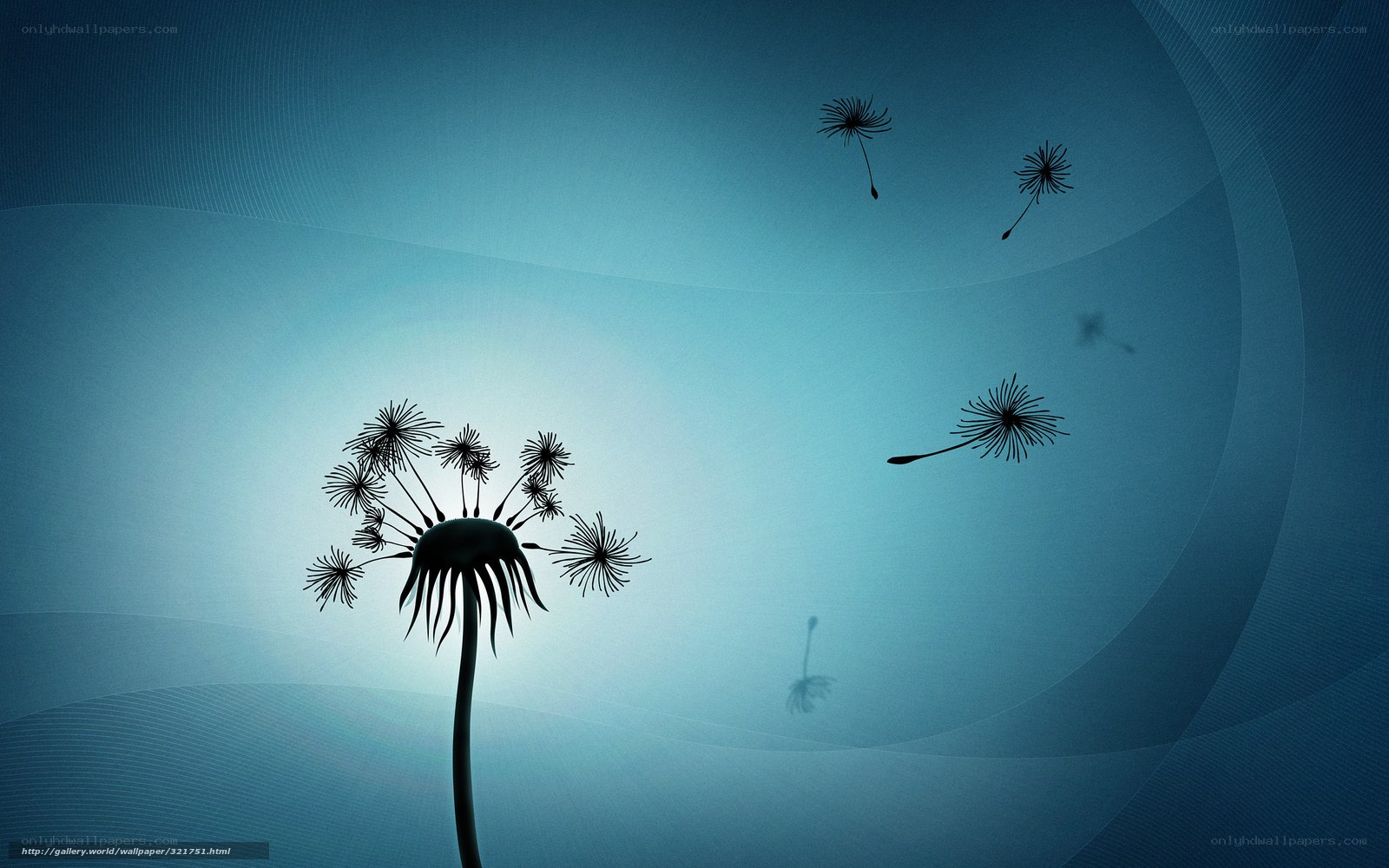 Dandelion seeds in the wind