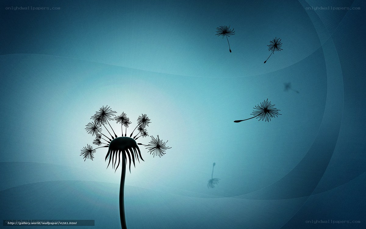 Dandelion seeds in the wind
