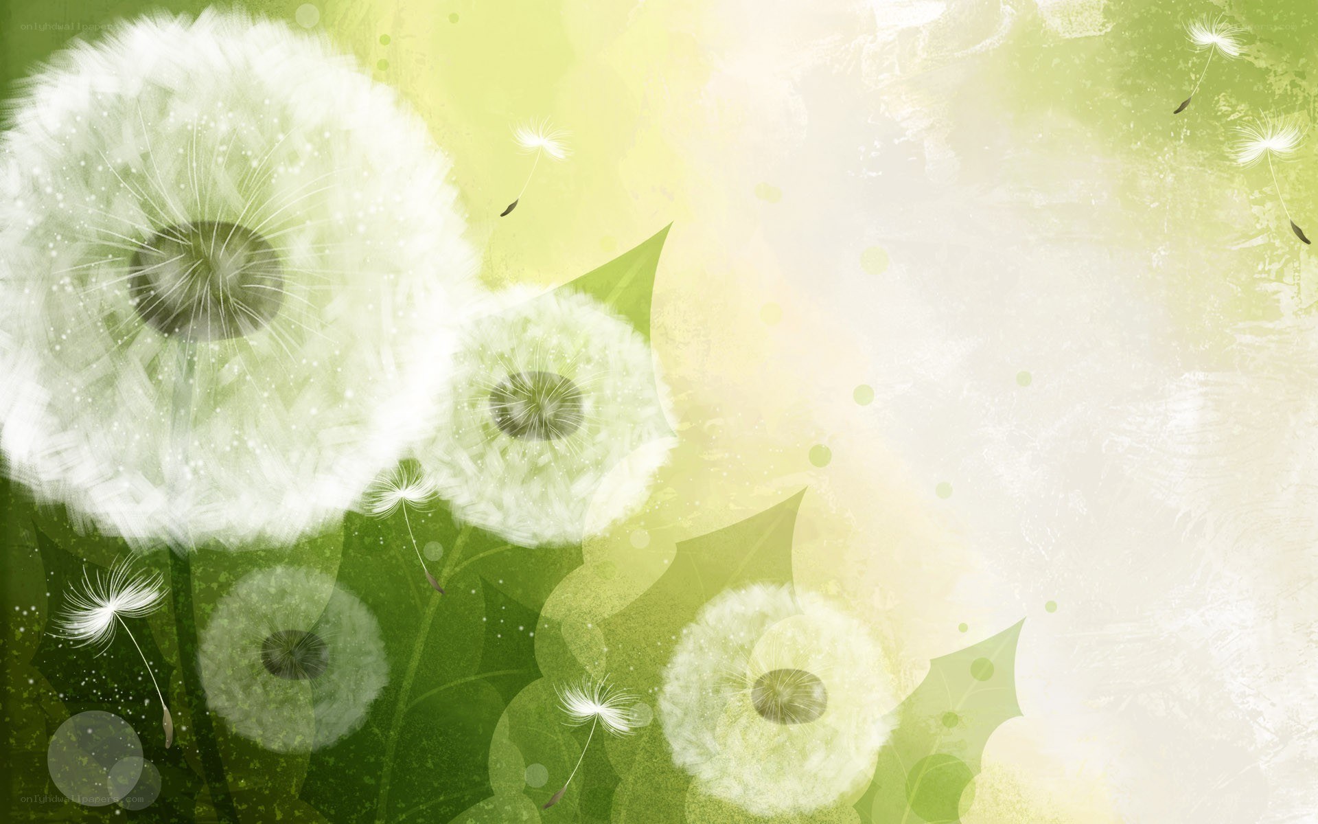 Dandelion seeds in the wind