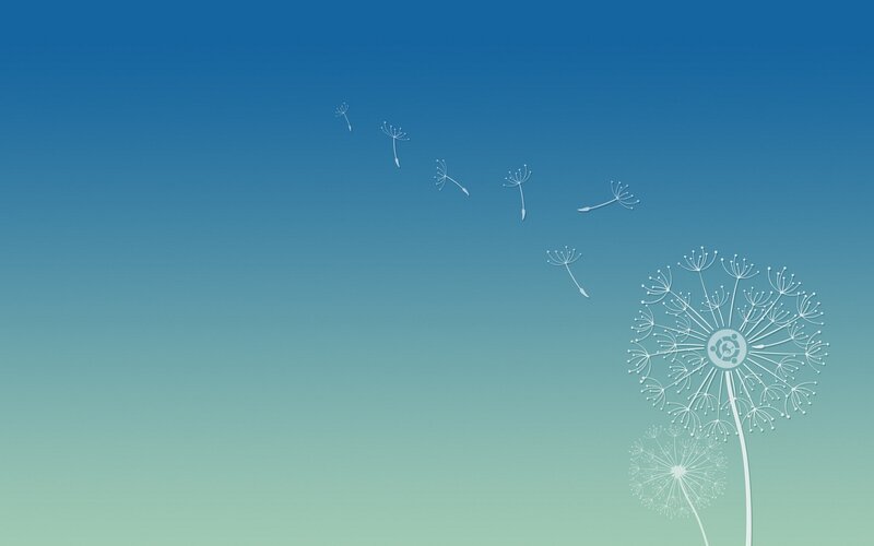 Dandelion Seeds in Wind — Blue, Serene, Afternoon